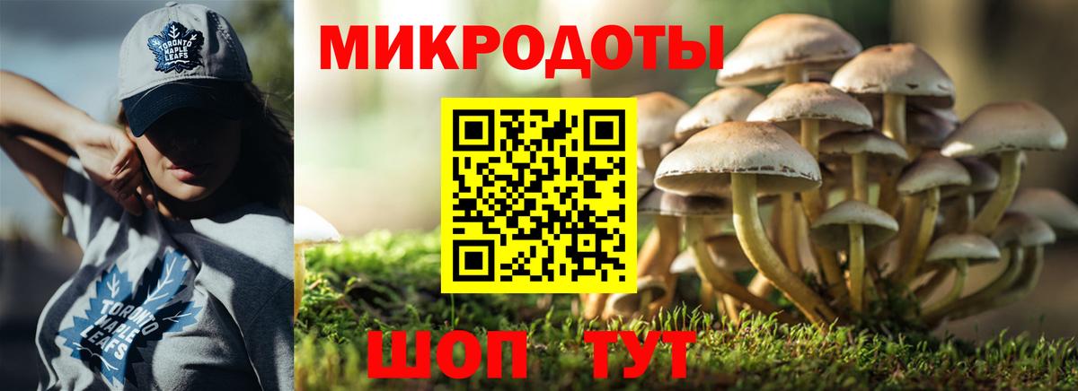 Галлюциногенные грибы ЛСД Кропоткин